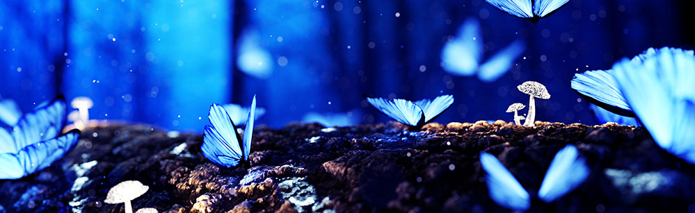 A agencia digital precisa dar atenção especial as imagens, eliminando vários dados, reduzindo, tratando, sem que perca a qualidade