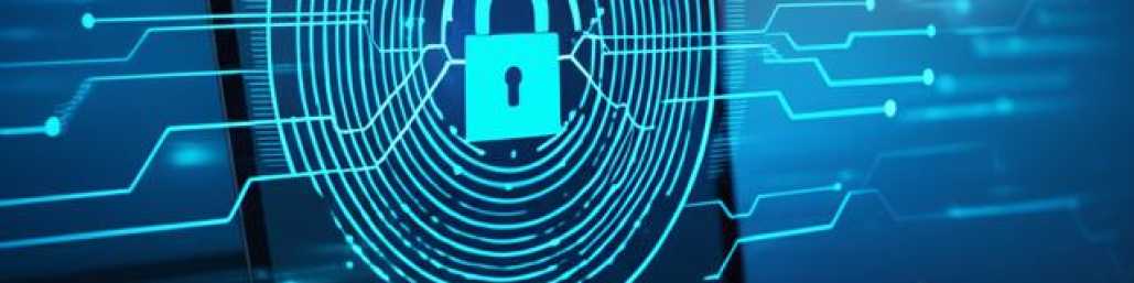 imagem que representa o  texto